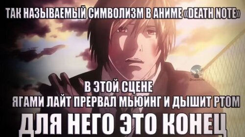 Гриффит топ