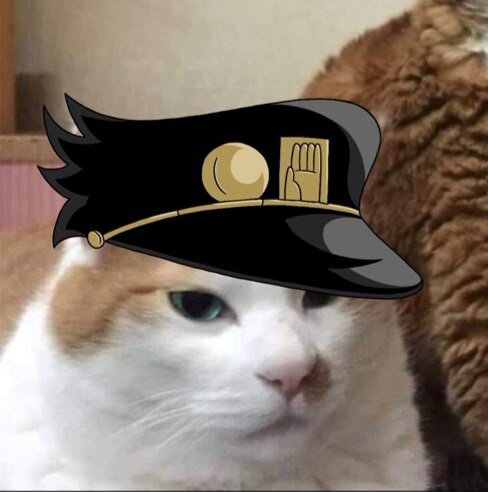 maydlin_meow