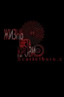 Жизнь цвета крови