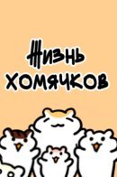 Today's Hamster / Жизнь хомячков