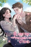 A Flower Blooms on the Wall / О, цветок, что расцвёл на стене.