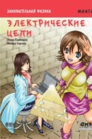 Занимательная физика. Электрические цепи