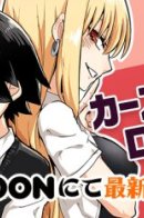 Bully Romance / Хулиганский роман