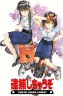 You're Under Arrest / Вы арестованы