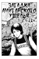 The Enigma of Amigara Fault / Загадка Амигарского ущелья