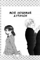 Love Fool / Мой любимый дурачок