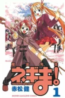 Magical Teacher Negima! / Учитель-чародей Нэгима
