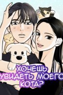 Want to See My Cat? / Хочешь увидеть моего кота?
