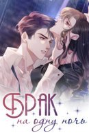 One Night Profound Marriage / Брак на одну ночь