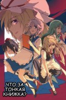 Touhou dj - What’s This Thin Book? / Тохо - Что за тонкая книжка?