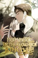 Мой цветок, распускающийся в пустыне