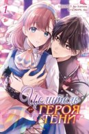 Целитель Героя Тени