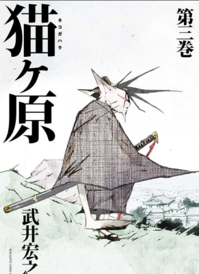 Кошачья равнина