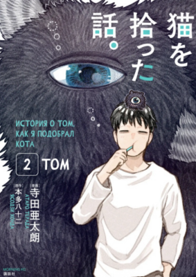 История о том, как я подобрал кота