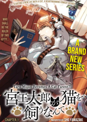 Таро Мияо становится родителем кота?!