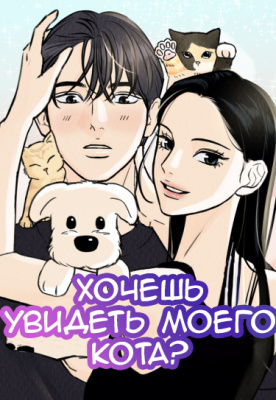 Хочешь увидеть моего кота?