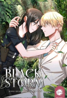 Чёрный шторм