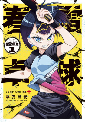 Настольный Теннис Шунрай