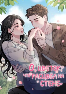 О, цветок, что расцвёл на стене.
