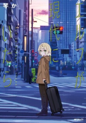 Если бы Эльфы Существовали в наши Дни