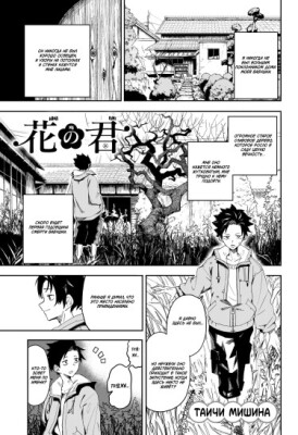 Девочка-Цветочница