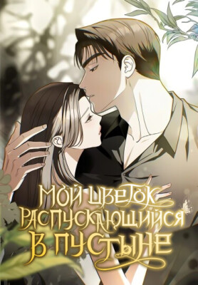 Мой цветок, распускающийся в пустыне