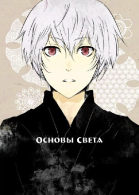 Основы света