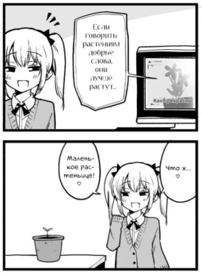 Добрые слова