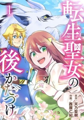 Наведение порядка после перерождения святой