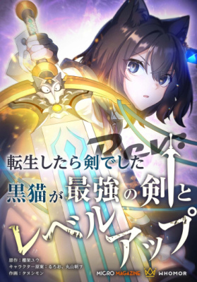 О моём перерождении в меч: чёрная кошка повышает уровень с сильнейшим мечом