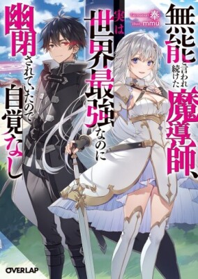 Маг, которого называли бесполезным, на самом деле сильнейший в мире, но не осознаёт этого, потому что всё это время провёл в заточении