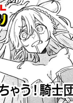 Бабучау! Рыцарь-командир эльфов