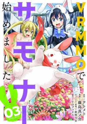 В VRMMO я начал как призыватель