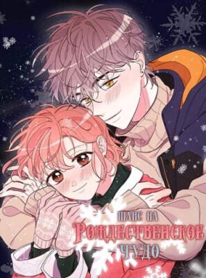 Шанс на рождественское чудо