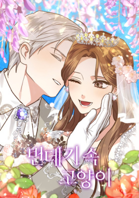 Кошка в куколке